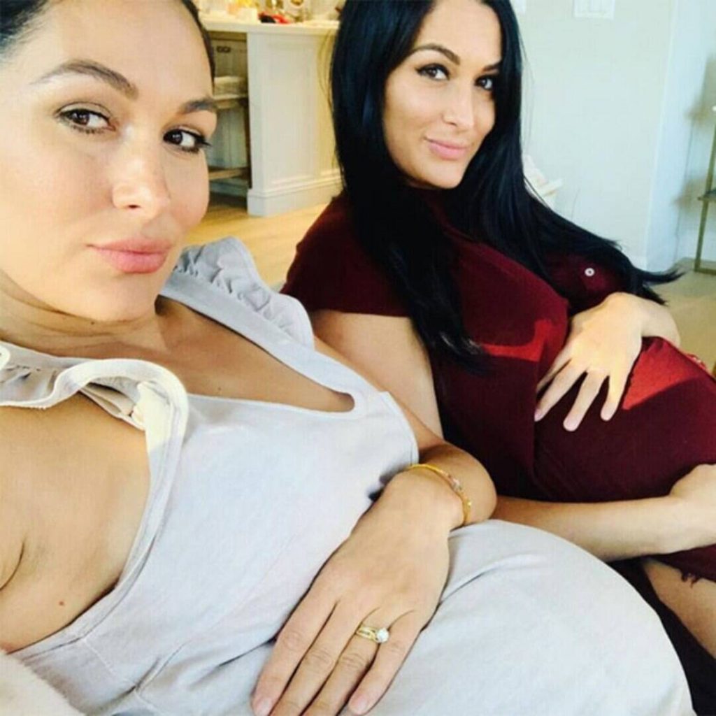 Brie and Nikki Bella go completely nude in maternity 